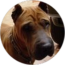 Carla di guida profile picture